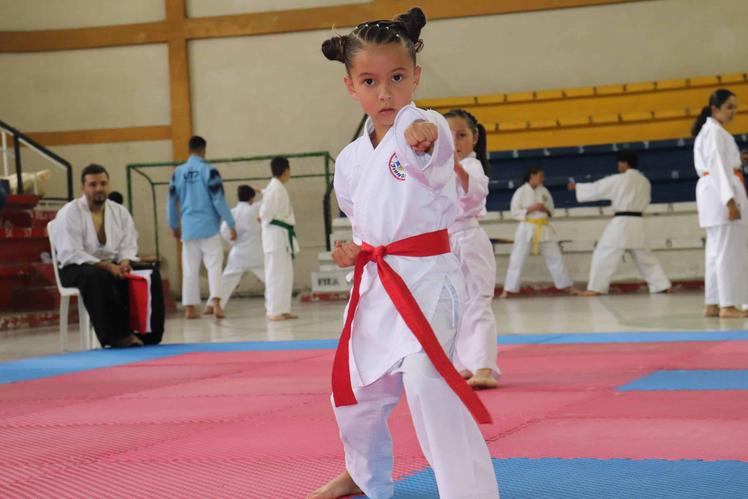 Aguadas fue sede de la XVII Copa Shinguitai de Karate-Do
